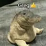 Greg