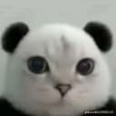 穆也