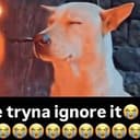 TRYNA