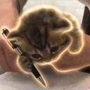 Catsig