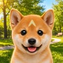 RINU