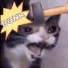 CONK