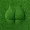 GRASS
