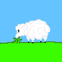 SHEPHERD