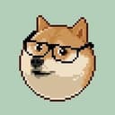chilldoge