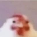 greg