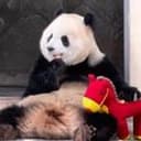 渝爱