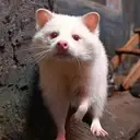 CASPER