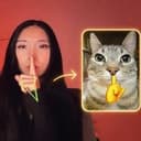 MEOWMEOW