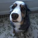 Jack