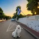 כוכו