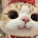 nigi
