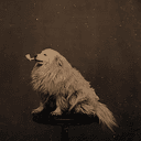 PipeDog