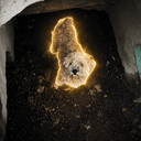 Teddy