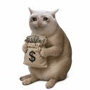 BAGCAT