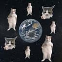 Catstronomy