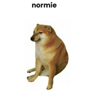 NormieDog