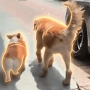 Friendship