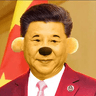 XI