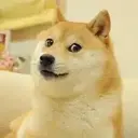 Kabosu