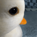 DAFUAN