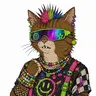 JoeCat