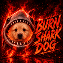 BURNSHARKDOG