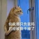 背手小猫