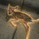 Squeaky