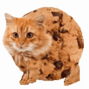 cookiecat