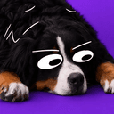 Fomodog