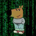 chilldev
