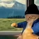 dancecat