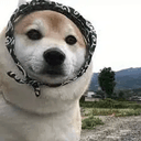 fren