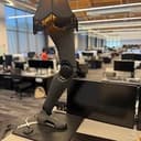 leg lamp