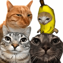猫咪梗图