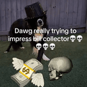 cashdogs