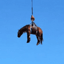 HORSEFLY