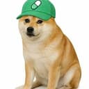 PUMPDOG