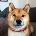 KENJI