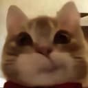 micho