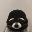 bandit