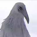 OPIUMBIRD