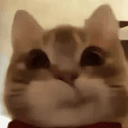 Tom
