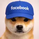 Facedog