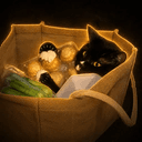 holdercat