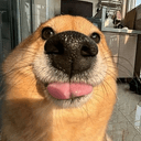 bleh