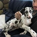 PENNY