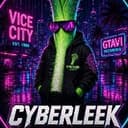 CYBERLEEK