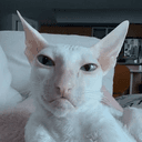 Sirius